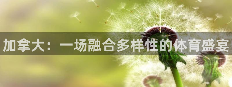 球深体育比分：加拿大：一场融合多样性的体育盛宴