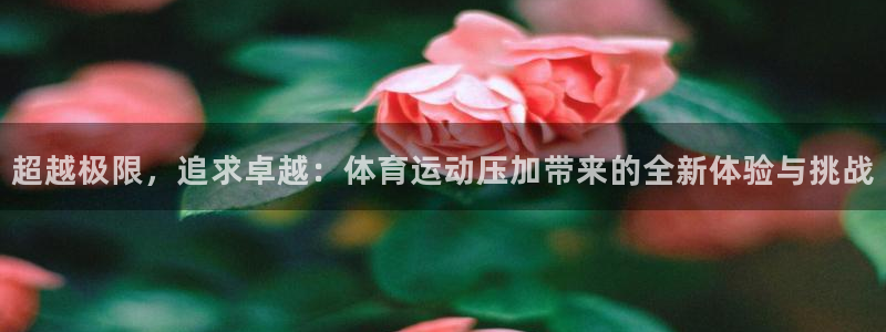 球深体育比分：超越极限，追求卓越：体育运动压加带来的全新体验与挑战