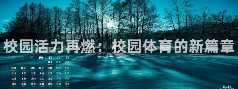 球深体育比分：校园活力再燃：校园体育的新篇章