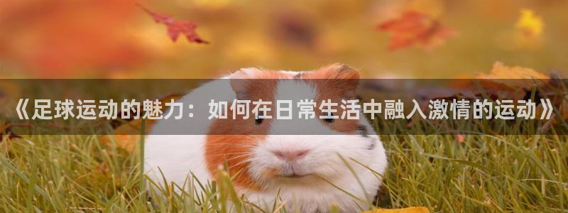 球深体育比分：《足球运动的魅力：如何在日常生活中融入激情的运动》