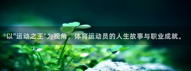 球深体育比分：以\