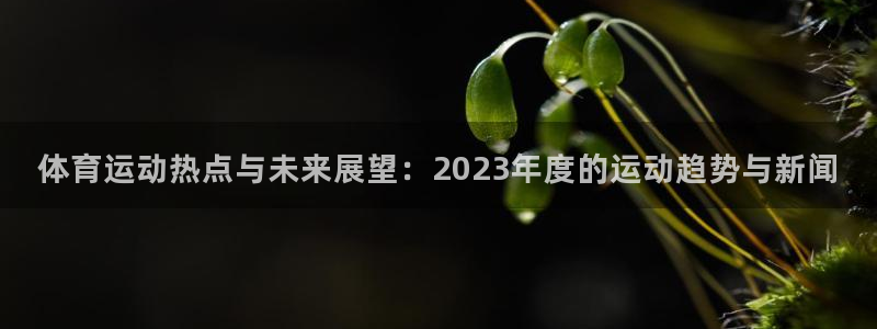 球深体育比分：体育运动热点与未来展望：2023年度的运动趋势与新闻