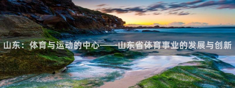 球深体育比分：山东：体育与运动的中心——山东省体育事业的发展与创新